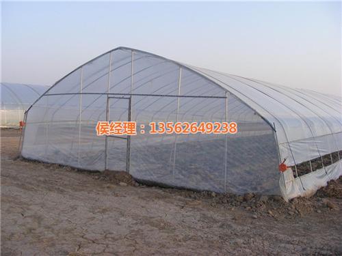 薄膜温室大棚造价,秦皇岛温室,蔬菜温室建&nbsp;&nbsp;蔬菜温室大棚骨架&nbsp;&nbsp;蔬菜温室建造&nbsp;&nbsp;薄膜温室大棚建造
