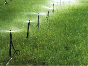 山东微灌带 山东微灌带专业供应 微灌带价格 微灌带批发