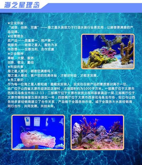 生态茶几鱼缸_太原茶几鱼缸_海之星水族公  茶几鱼缸价格  茶几鱼缸报价