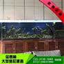 家庭鱼池设计_金碧林_家庭阳台养鱼池设计