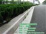 芝麻灰路缘石、建栋石材路缘石、五莲花路缘