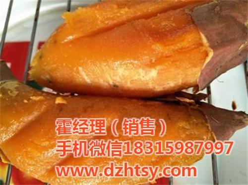 哈尔滨烟薯25|禾田薯业放心企业|烟薯2  烟薯25销售  烟薯25地瓜种苗  烟薯25厂家