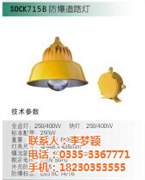 SOCK,盛欧测控,SOCK716防爆投  SOCK714A  SOCK718防