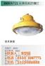 SOCK716防爆投光灯、SOCK、盛欧
