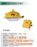 SOCK_盛欧测控_SOCK8138防爆