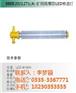盛欧测控|SOCKL161LED防爆平台