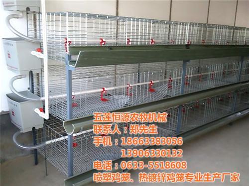 公鸡养殖鸡舍_恒源鸡笼_哪有做公鸡养殖鸡&nbsp;&nbsp;铁质公鸡养殖鸡舍&nbsp;&nbsp;公鸡养殖鸡舍批发
