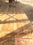 建筑木方价格,乳山建筑木方,日照双剑木材