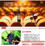 长城优级解百纳多少钱、长城优级解百纳、友
