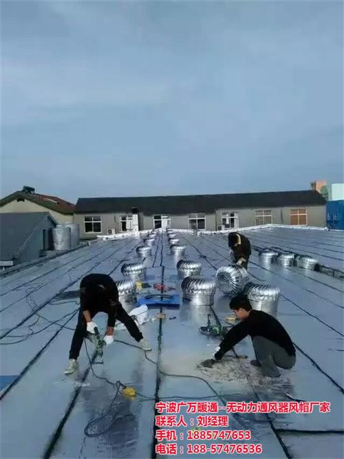 广万暖通,江北区屋顶通风器安装厂家,养殖  屋500mm顶通  养殖场屋顶通风器  不锈钢屋顶通风器