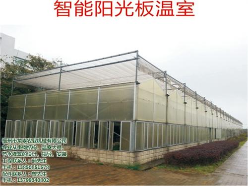 大棚,福建龙泰温室大棚,福州农用大棚塑料  福州农用大棚厂家  福州农用温室大棚