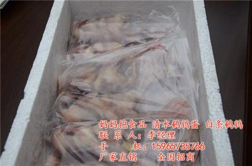 山东白条鹌鹑批发厂家、白条鹌鹑、山东妈妈  山东白条鹌鹑营养  山东白条鹌鹑生产