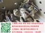 贵州松桃周边成活率高的香鸡苗供应商电话多少