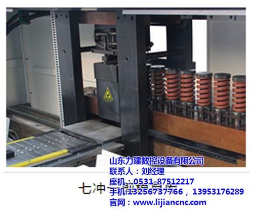 母线冲剪机价格,母线冲剪机,力建数控质量  母线冲剪机供应商  母线冲剪机图片
