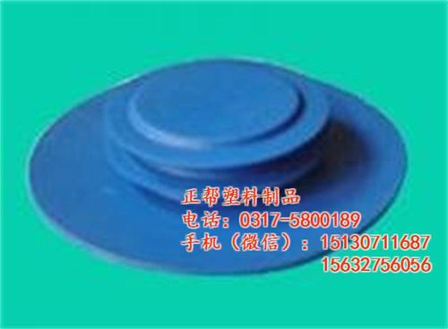 DN65塑料法兰盖,四川塑料法兰盖,正帮  DN80塑料法兰  DN100塑料法