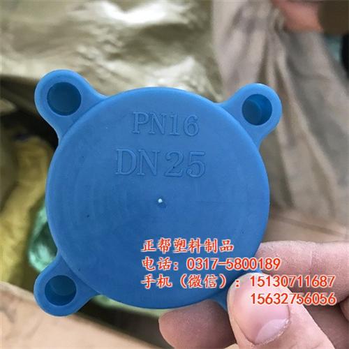 平焊法兰密封盖_吉林法兰密封盖_正帮塑料  法兰密封盖保护盖  法兰密封盖型号
