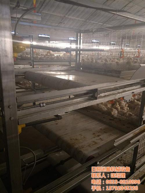 自动化肉鸡笼养设备_宁夏肉鸡笼_运盈机械  肉鸡笼厂家  阶梯式肉鸡笼