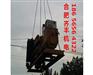 合肥发电机租赁|合肥齐丰|发电机租赁公司