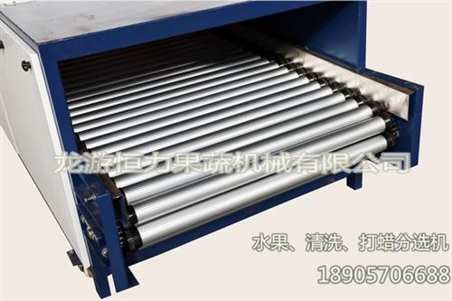 水果清洗机设备价格_江西水果清洗机_恒力  水果清洗机流水线  带叶水果清洗机