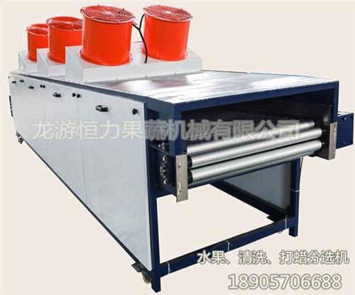 带叶水果清洗机,陕西水果清洗机,恒力果蔬 水果清洗机厂家 脐橙清洗机