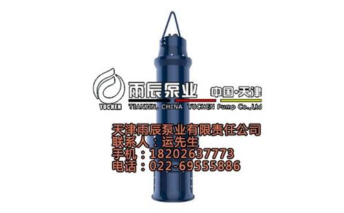雪橇混流潜水泵_河北混流潜水泵_雨辰(多  落地混流潜水泵  悬吊混流潜水泵