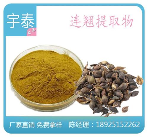 红花提取物生产厂家|红花提取物|宇泰(多  红花提取物公司  红花提取物加工