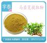 宇泰_甘草提取物_甘草提取物批发