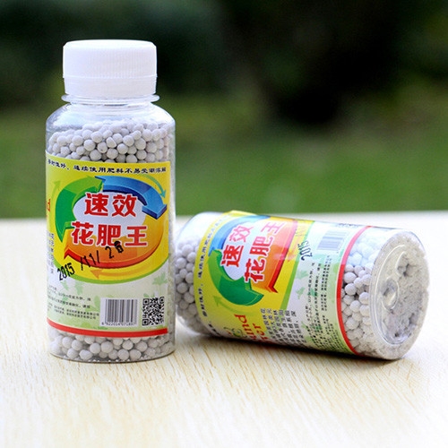 水培花盆品牌就选爱尚花境花木管家，成就懒人花盆行业  加仑花盆  水培玻璃盆