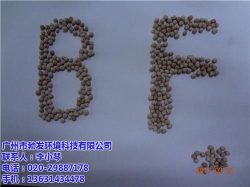 臭氧催化剂厂家,广州臭氧催化剂,勃发环保  臭氧催化剂原理  臭氧催化剂环保