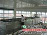 豆腐坊设备|【彭大顺】|豆腐坊设备哪家好