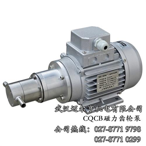 柱塞计量泵工作原理、计量泵、【迈尔亨机电  熔体计量泵  计量泵原理