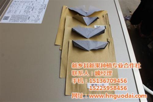 柚子果袋_延边果袋_新果果袋(图)  苹果果袋  桃果袋