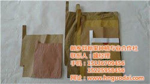 漯河葡萄套袋,新果果袋(优质商家)