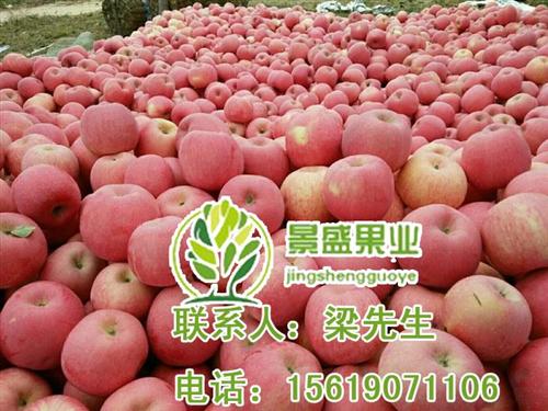 洛川苹果_景盛果业洛川苹果_礼品果篮洛川  礼品果篮洛川苹果  洛川苹果上市预售  洛川苹果西安专卖