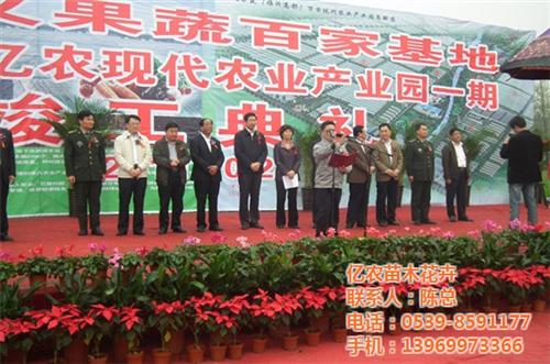 苗木基地|东营苗木|亿农苗木花卉(多图)&nbsp;&nbsp;绿化苗木&nbsp;&nbsp;果树苗木