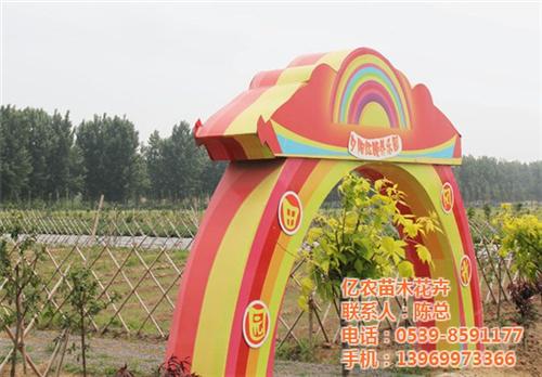 东营苗木_亿农苗木花卉_今日苗木求购&nbsp;&nbsp;苗木价格查询&nbsp;&nbsp;苗木在线