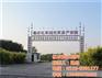 绿化苗木网|临沂苗木|亿农苗木花卉(图)
