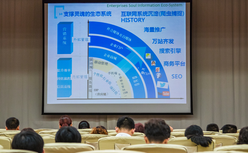 专家力荐的经营之魂项目_软件系统代理  经营服务