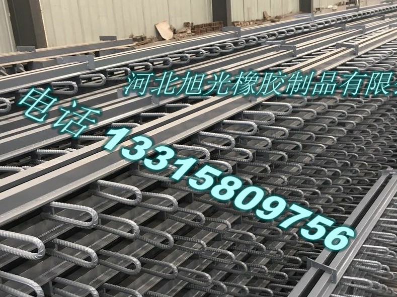专业的XLF-60桥梁伸缩缝|旭光橡胶制