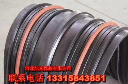衡水哪里有供应高质量的耐油橡胶止水带|购 耐油橡胶止水带直销 耐油橡胶止水带价格