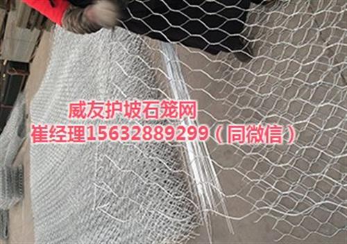 临沂高尔凡钢丝石笼|安平威友丝网|高尔凡  高尔凡钢丝石笼优  高尔凡钢丝石笼多  高尔凡钢丝石笼价