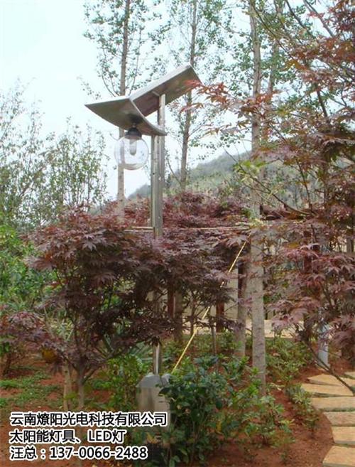 太阳能灯零售_德宏太阳能灯_燎阳光电(查  太阳能灯批发  太阳能灯报价