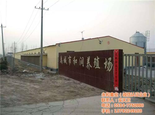 白条鸡选哪家、辽源白条鸡、永和禽业(查看  白条鸡价格  白条鸡哪家好