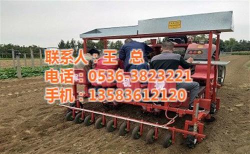 大葱移栽机|移栽机|军岩农业机械(图)  植物移栽机  大型牵引式移栽机