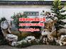 绿草地园林景观口碑好的假山新品上市,铜陵