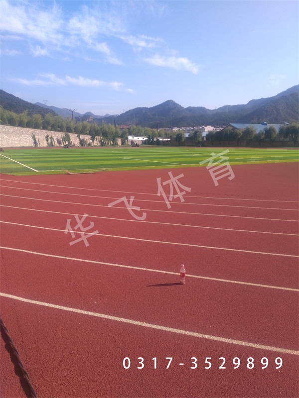 河北省秦皇岛市昌黎县塑胶跑道厂家公司哪家&nbsp;&nbsp;昌黎县塑胶跑道公司