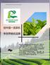 茶叶杀青机价格,福建杀青机,增荣机械专业