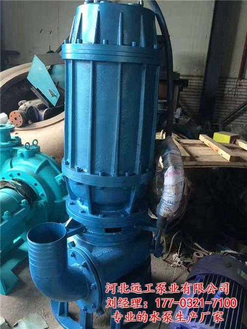上海潜水渣浆泵,远工泵业,潜水渣浆泵厂家  不锈钢潜水渣浆泵  矿用潜水渣浆泵