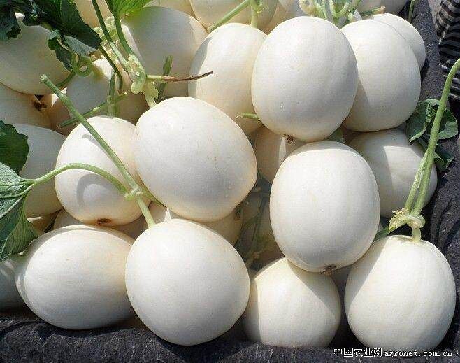 代销台州东方蜜  批发台州东方蜜  收购台州东方蜜