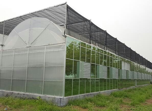 农业温室大棚生态餐厅育苗室项目设计规划建造